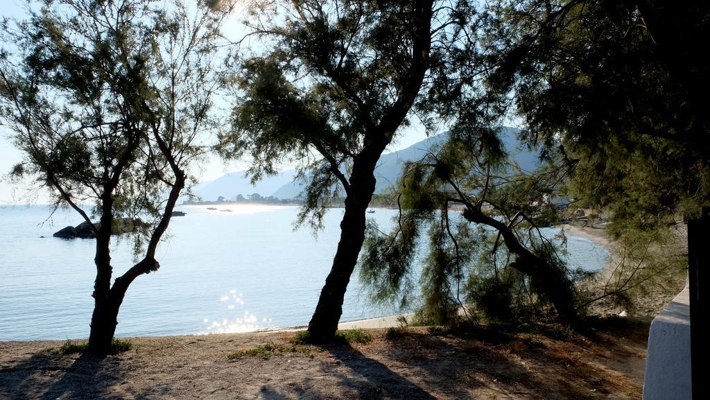 Testa Di Monaco Natural Beach Capo d'Orlando Exterior photo